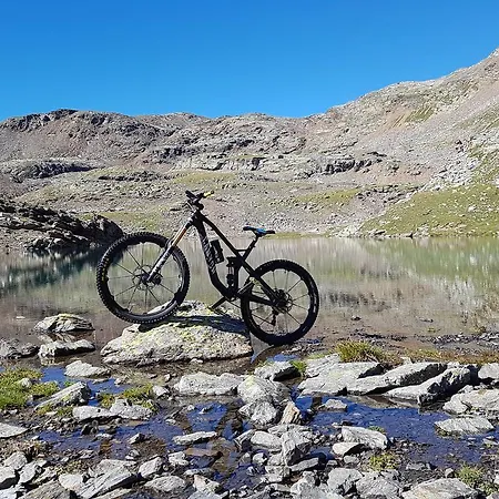 Elisa Vezza dʼOglio